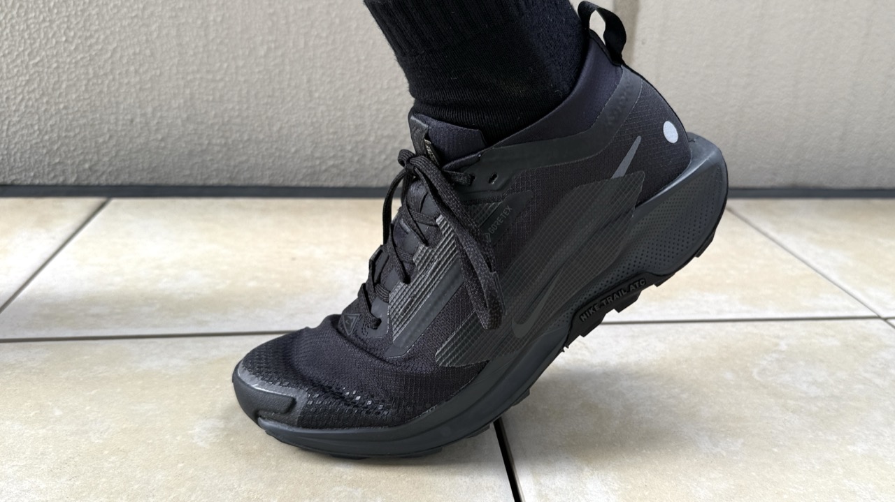 レビュー】Nike ペガサストレイル 5 GTX：美しすぎる防水トレラン