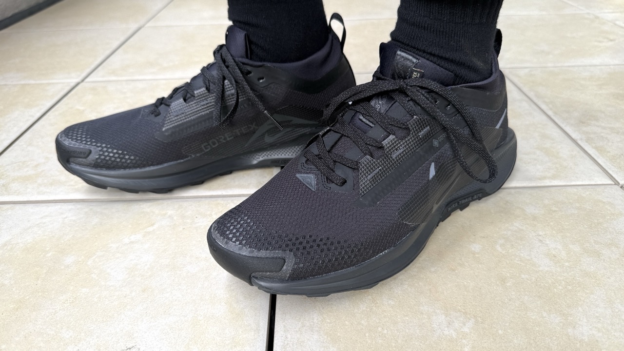 レビュー】Nike ペガサストレイル 5 GTX：美しすぎる防水トレラン