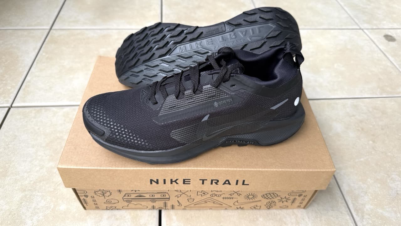 レビュー】Nike ペガサストレイル 5 GTX：美しすぎる防水トレラン