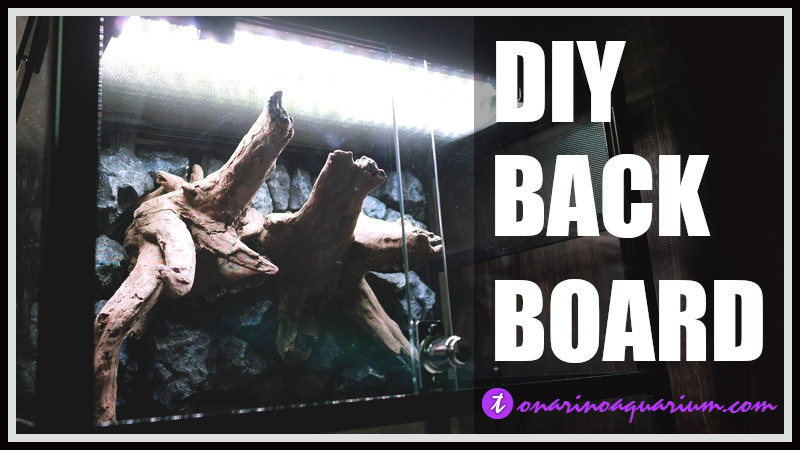 爬虫類レイアウト！ビバリウムのバックボードの制作DIY！ | となりの