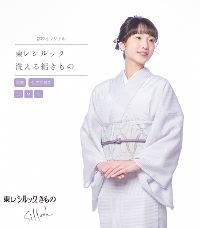 夏着物】小紋 【きもの都粋】