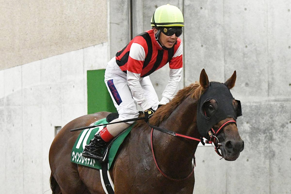 アイビスSD】8歳馬が快挙！25回目の歴史で初の馬券絡み 10番
