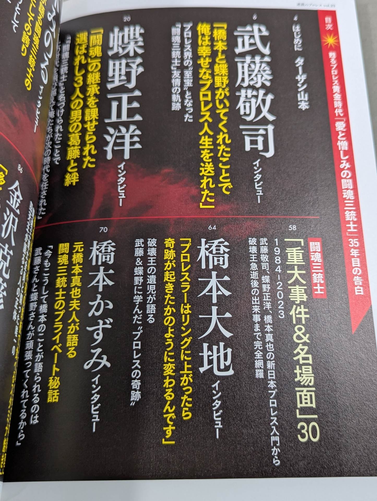 シリーズ 逆説のプロレス Vol.23 甦る黄金時代「愛と憎しみの闘魂三銃