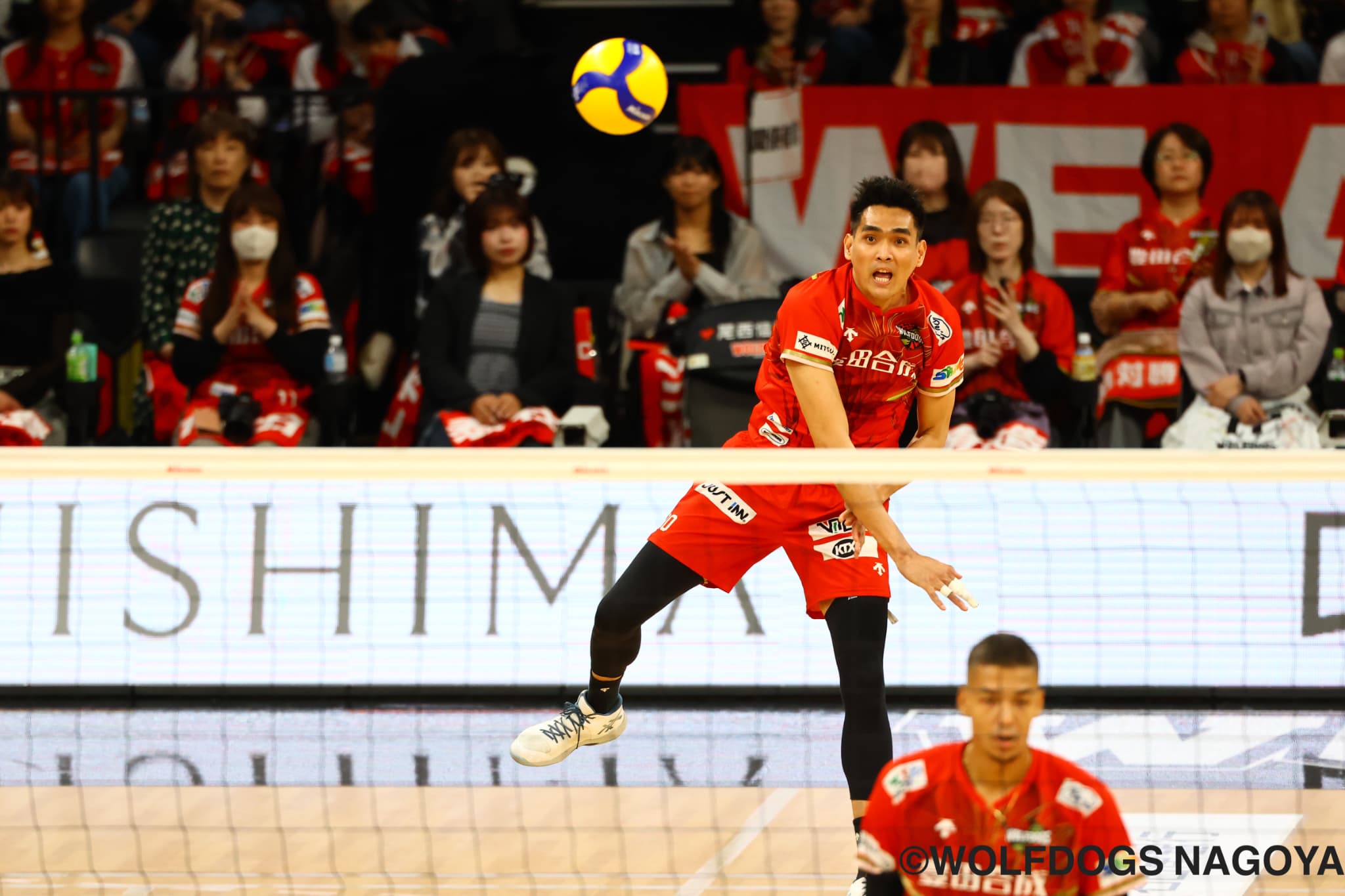 バレーボール・ウルフドッグス名古屋 柔軟かつ多彩な戦術を武器にSV