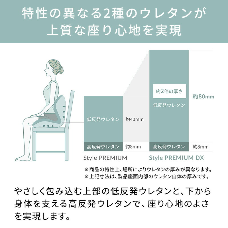 楽天市場】スタイルプレミアム デラックス Style PREMIUM DX ギフト