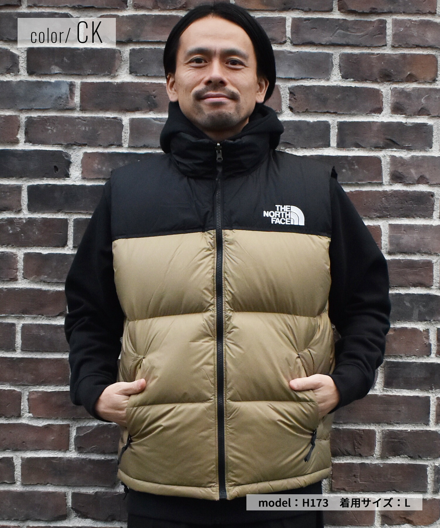 楽天市場】THE NORTH FACE ザ・ノース・フェイス ダウン ベスト メンズ