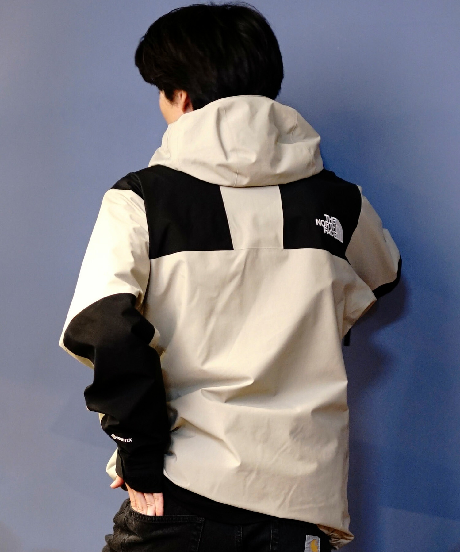 楽天市場】THE NORTH FACE ノースフェイス アウター メンズ 防水 防風