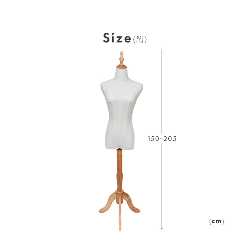 楽天市場】トルソー レディース 9号 マネキン 女性 パンツ対応 上半身