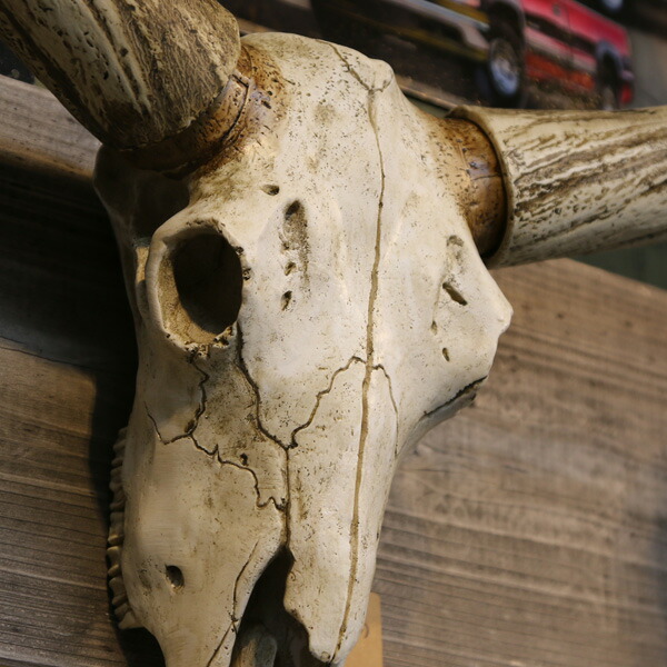 楽天市場】【大人気】【ダルトン】スティアヘッド（ステアーヘッド