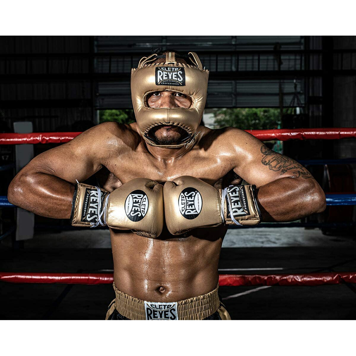 楽天市場】《楽天1位》 REYES 公式 レイジェス ボクシング ヘッドギア
