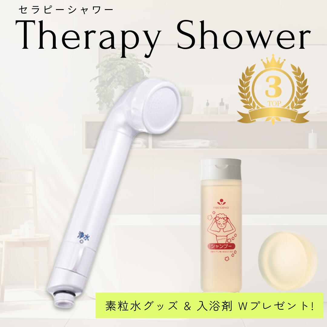 楽天市場】＼楽天3位受賞／【毎月1日はワンダフルデー☆ポイントアップ