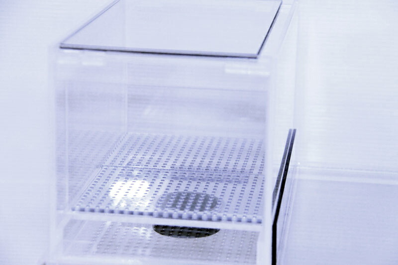 楽天市場】25×15×15ウールボックス : 熱帯魚のmishima 楽天市場店