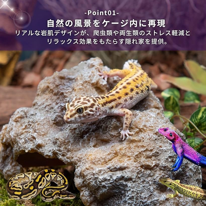 楽天市場】【楽天ランキング1位入賞】爬虫類 レオパ シェルター トカゲ