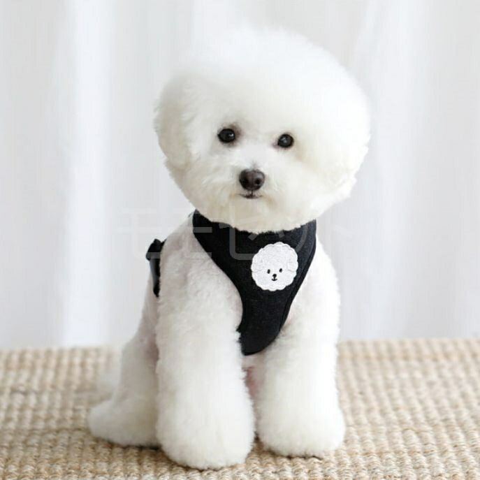 楽天市場】【大人気につき再入荷！1/14】ビションフリーゼのハーネス