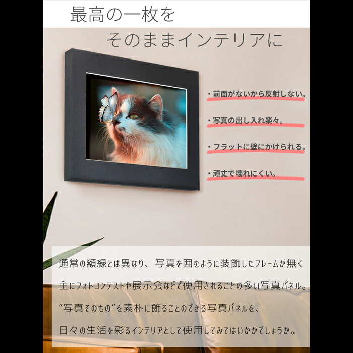 楽天市場】写真パネル 写真全紙サイズ用（560×457mm）小（外寸：730