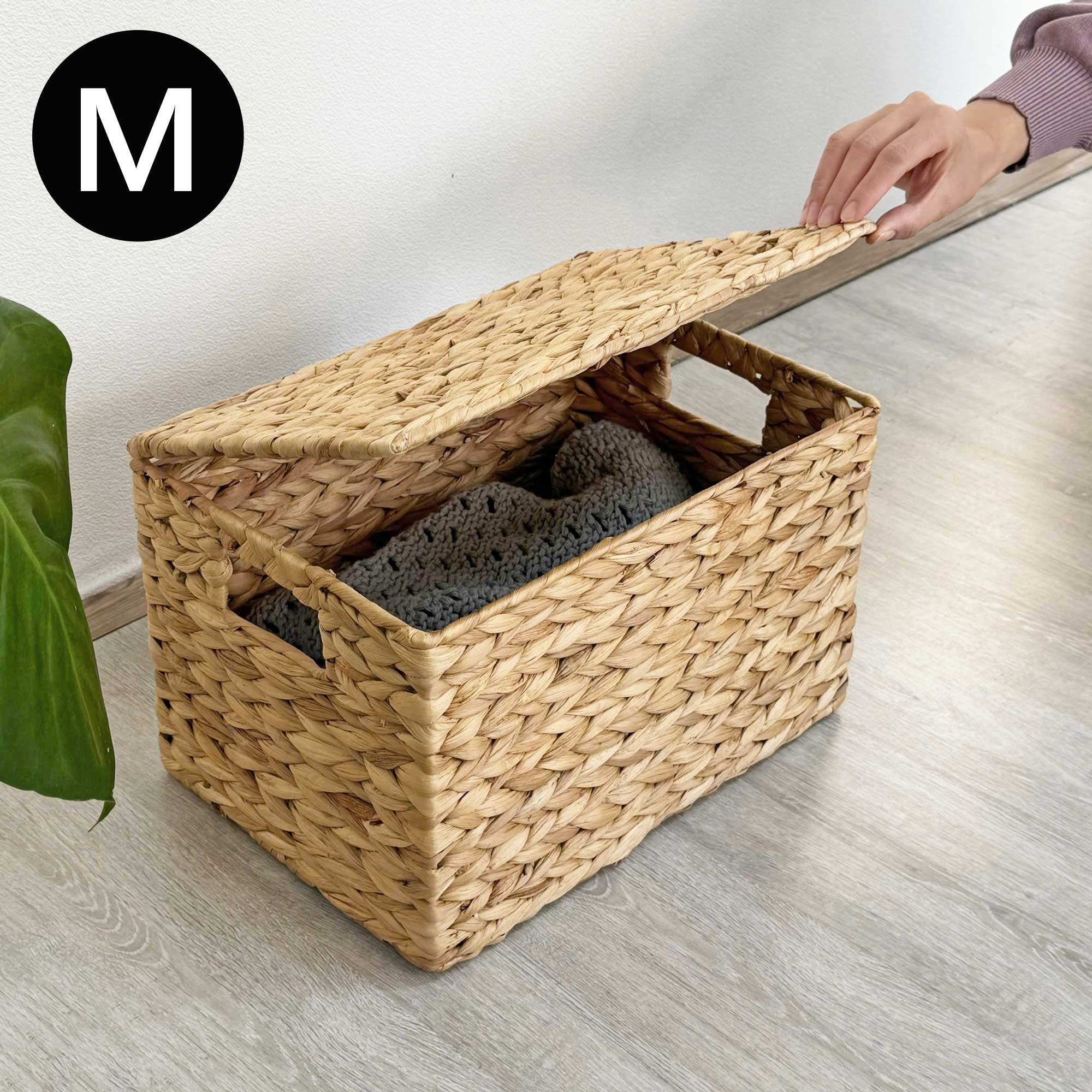 楽天市場】＼3/1は当店5%OFF+P5倍／ ウォーター ヒヤシンス 収納