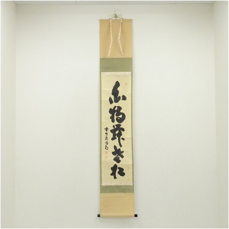 楽天市場】細合喝堂の通販