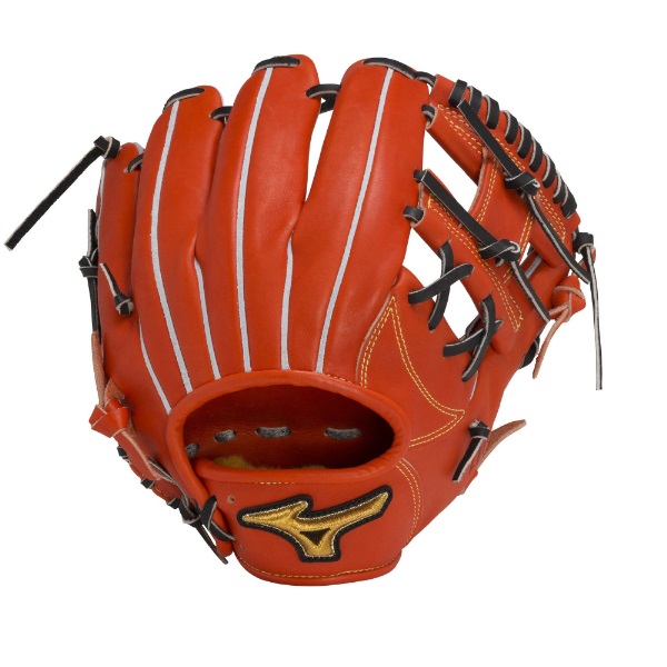 ミズノ 硬式用 ミズノプロ 限定皮革 テネイシャスプロエリートレザー