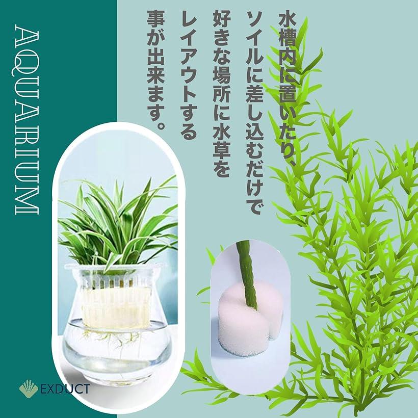 楽天市場】水槽用 水草 水草植栽3点セット 各8個セット 固定リング 植