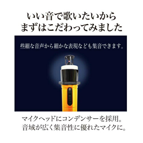 楽天市場】PENTATONIC(ペンタトニック) カラオケマイマイク Pro GTM