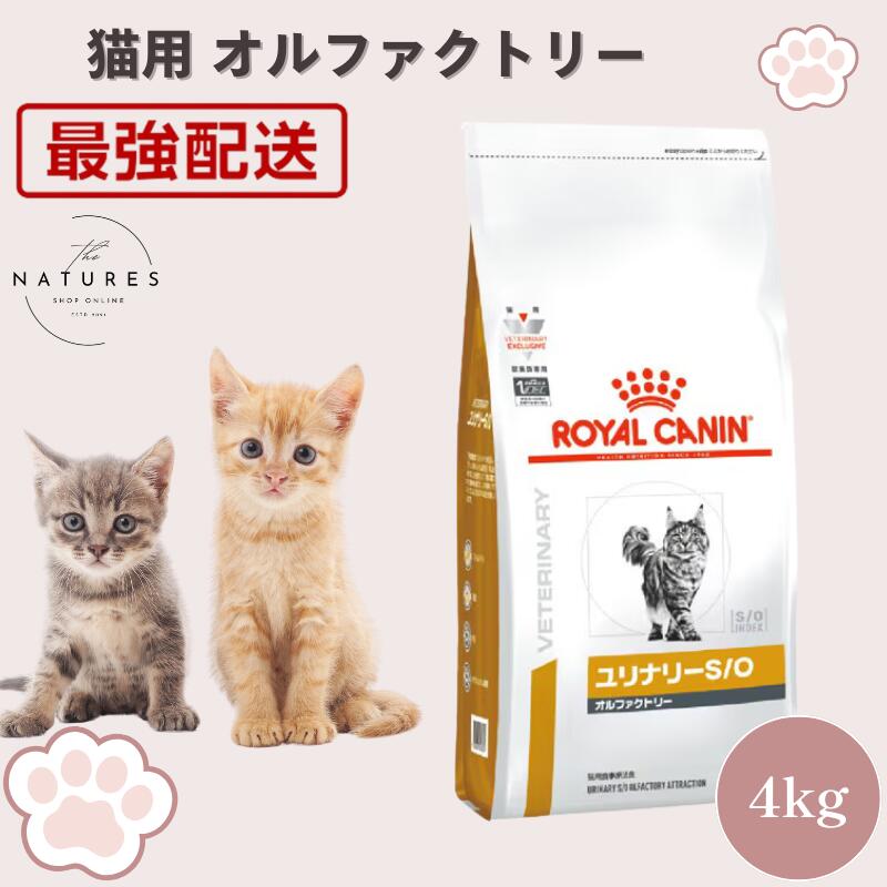 ロイヤルカナン ユリナリーs/oオルファクトリー4kg」の人気商品一覧