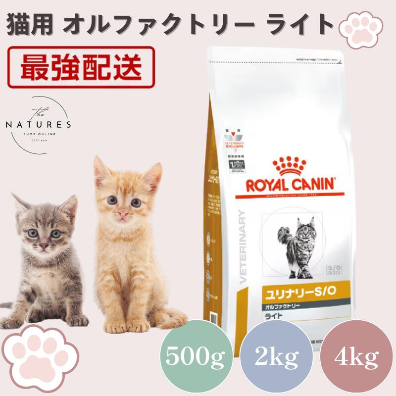 ユリナリーS/O オルファクトリー」の人気商品一覧 | 安い商品を通販