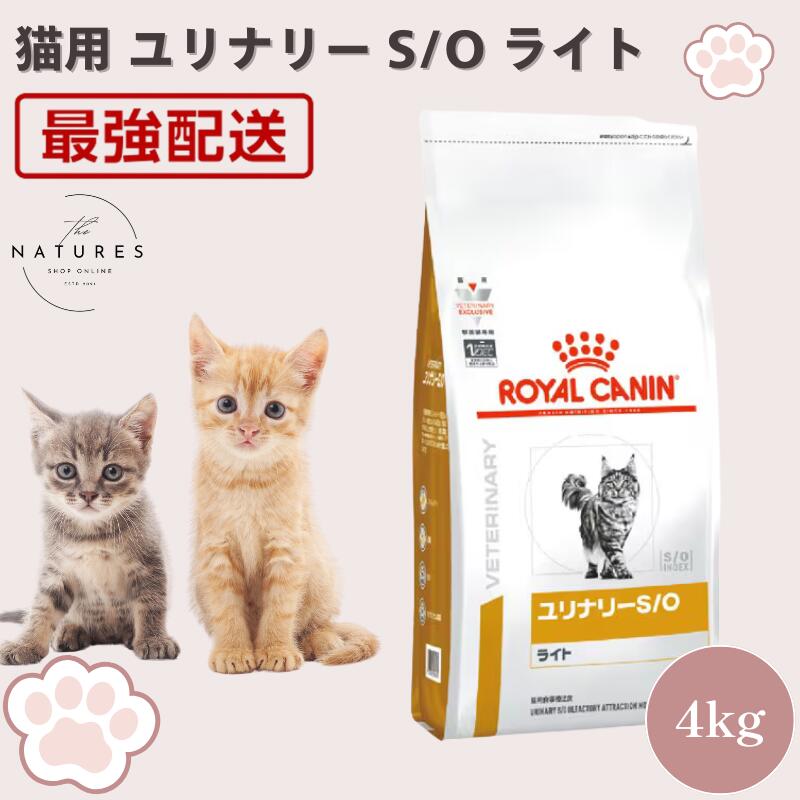 ユリナリーs/o ロイヤルカナン 猫 4kg」の人気商品一覧 | 安い商品を