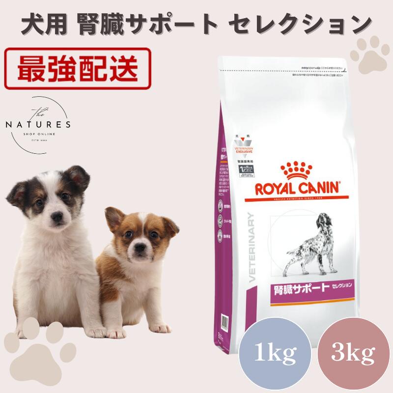 ロイヤルカナン 腎臓サポート 3kg 犬用健康管理用品」の人気商品一覧