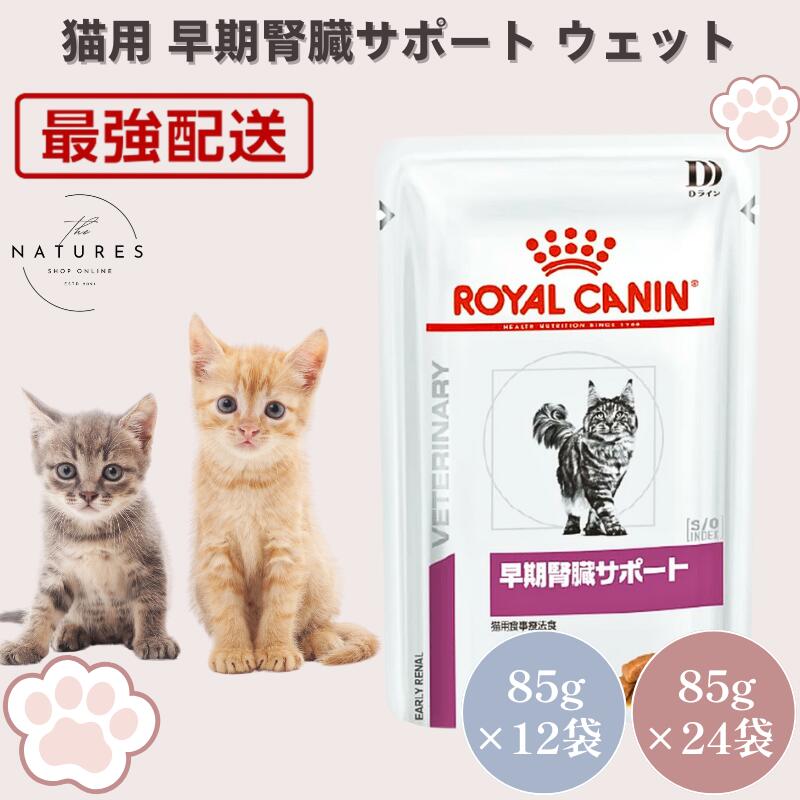 ロイヤルカナン猫 腎臓サポート ローフ 1箱パウチ12袋入 5箱 楽天市場