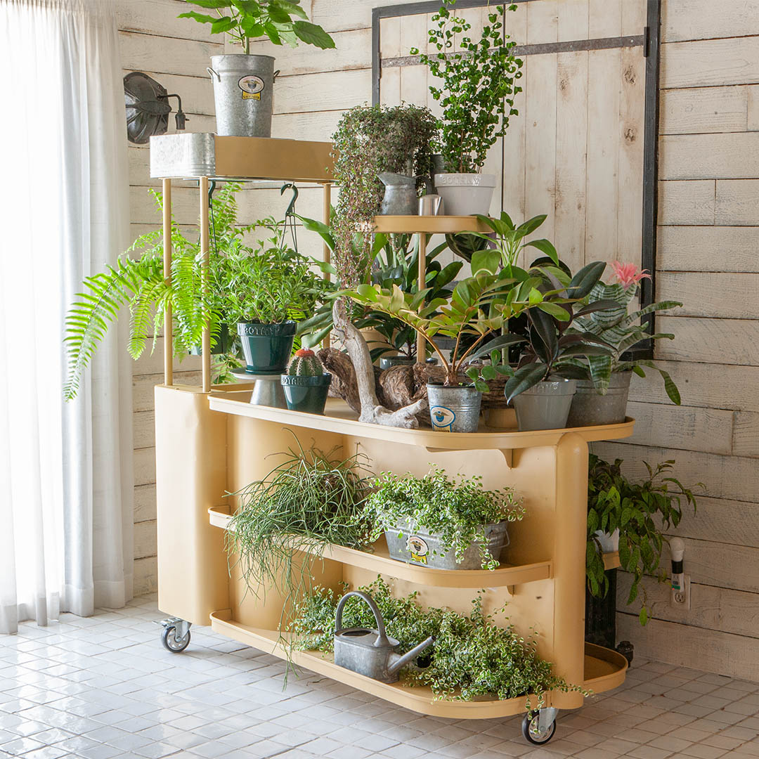 楽天市場】什器 商品陳列棚 ディスプレイ ラック ダルトン ストア