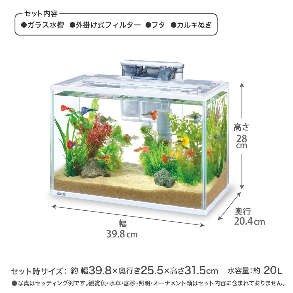 楽天市場】GEX スリムアクアセット400 : アクアアベニュー