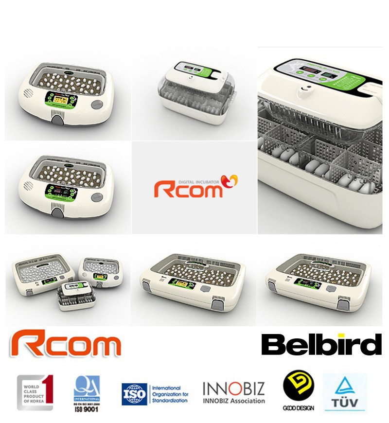 楽天市場】爬虫類用孵卵器 レプタイル プロ90 ジュラゴン : eバード