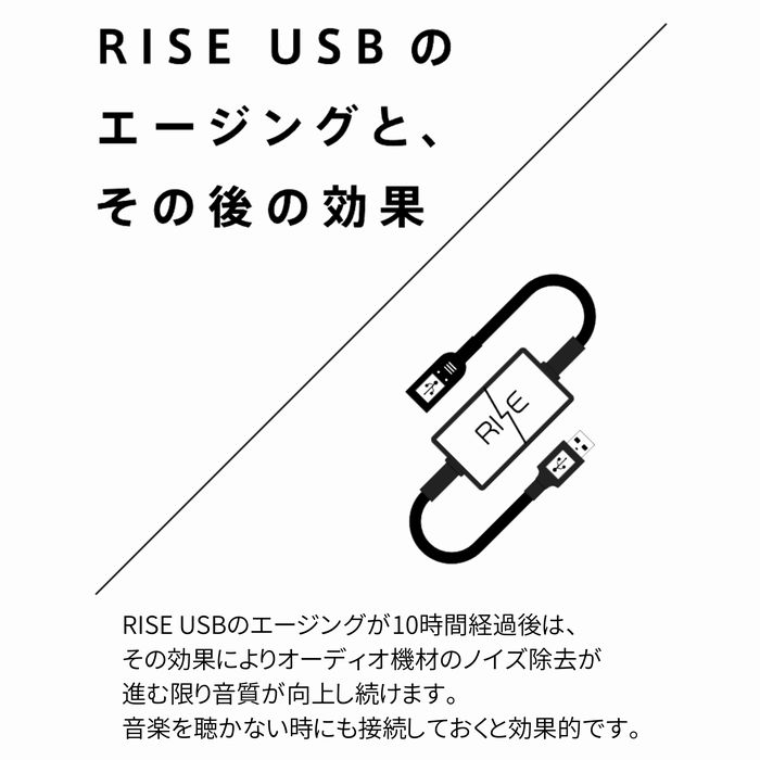 楽天市場】Third Technology RISE USB AA-01.1 USBノイズフィルター