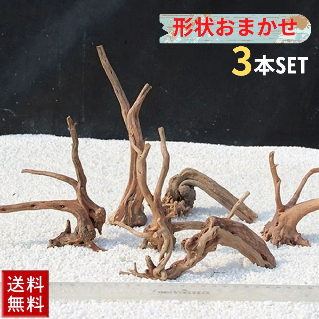 楽天市場】【ランキング1位獲得】 アクアリウム 流木 枝流木 Ver1ー 3