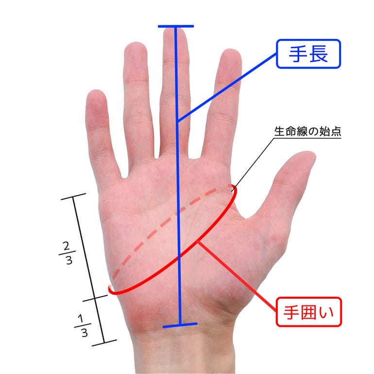 楽天市場】ポールスミス Paul Smith 手袋 グローブ GLOVE CHECK メンズ