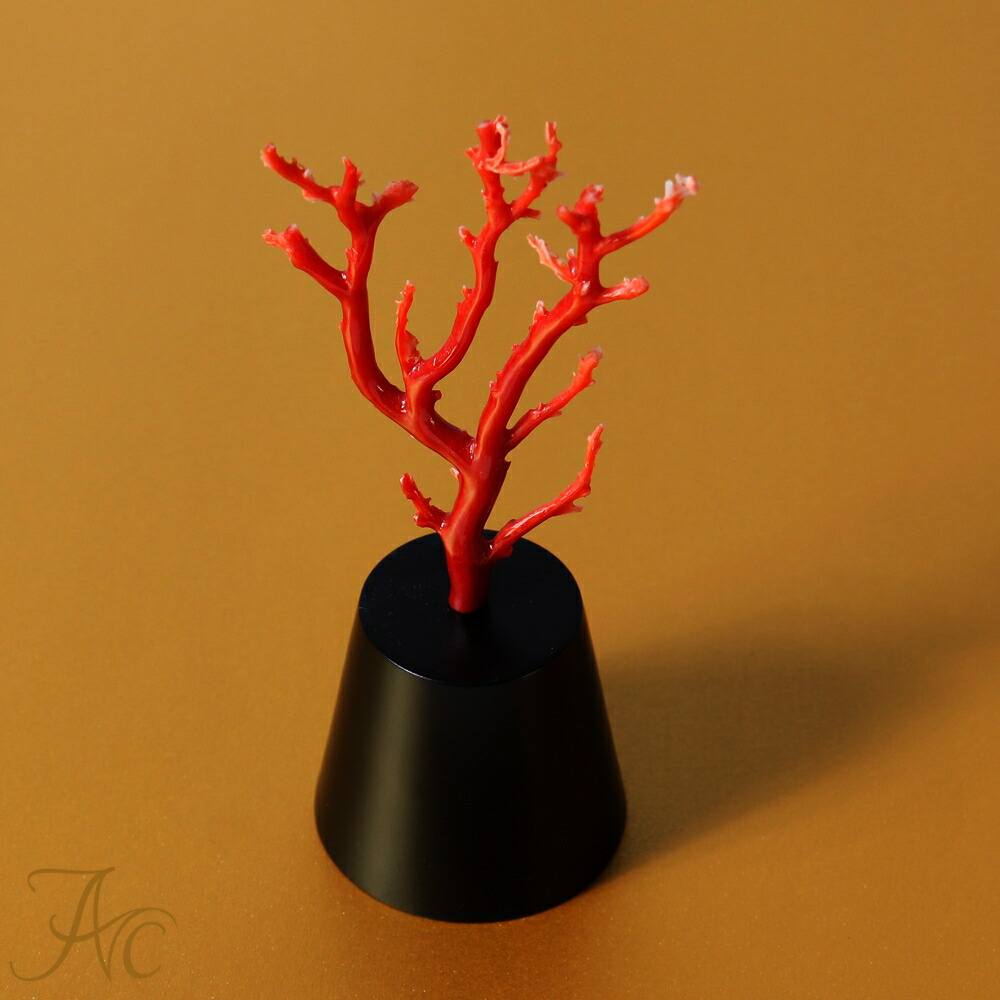 楽天市場】1点物 日本産血赤珊瑚＜枝＞拝見物 3月 誕生石 珊瑚 置物
