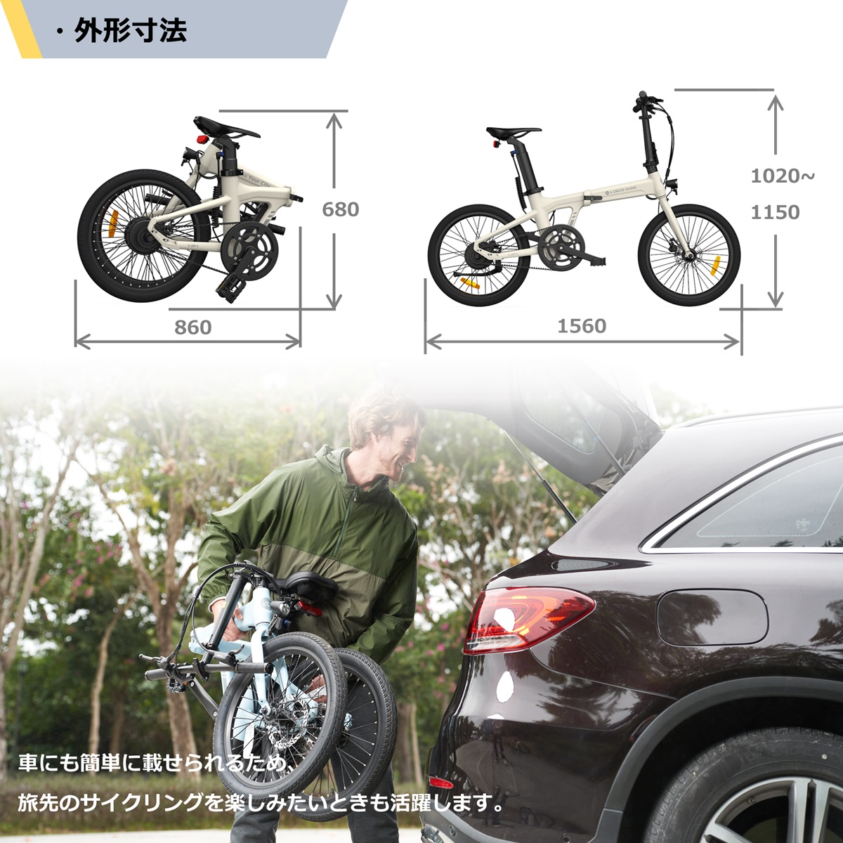 楽天市場】☆数量限定・特別仕様☆【高評価4.83】【ランキング1位連続