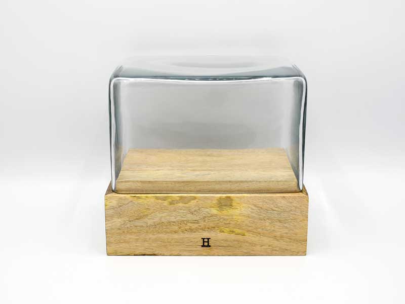 楽天市場】ガラスドーム コレクション ディスプレイケース R1