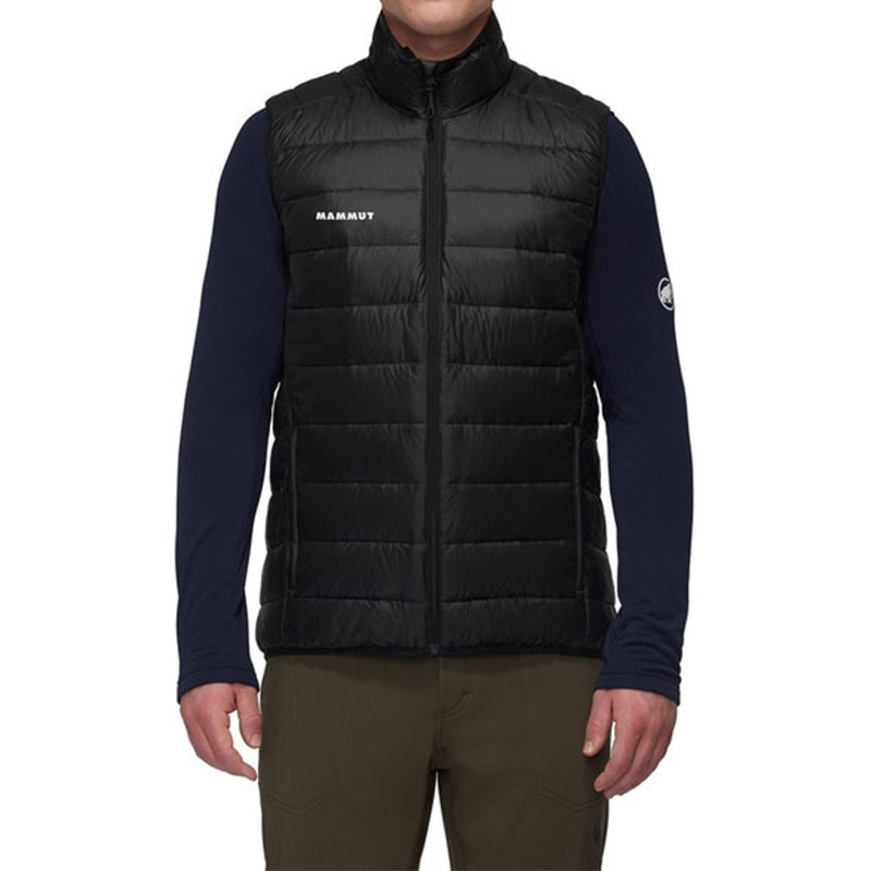 楽天市場】【日本正規輸入販売品】MAMMUT マムート Crag IN Vest Men