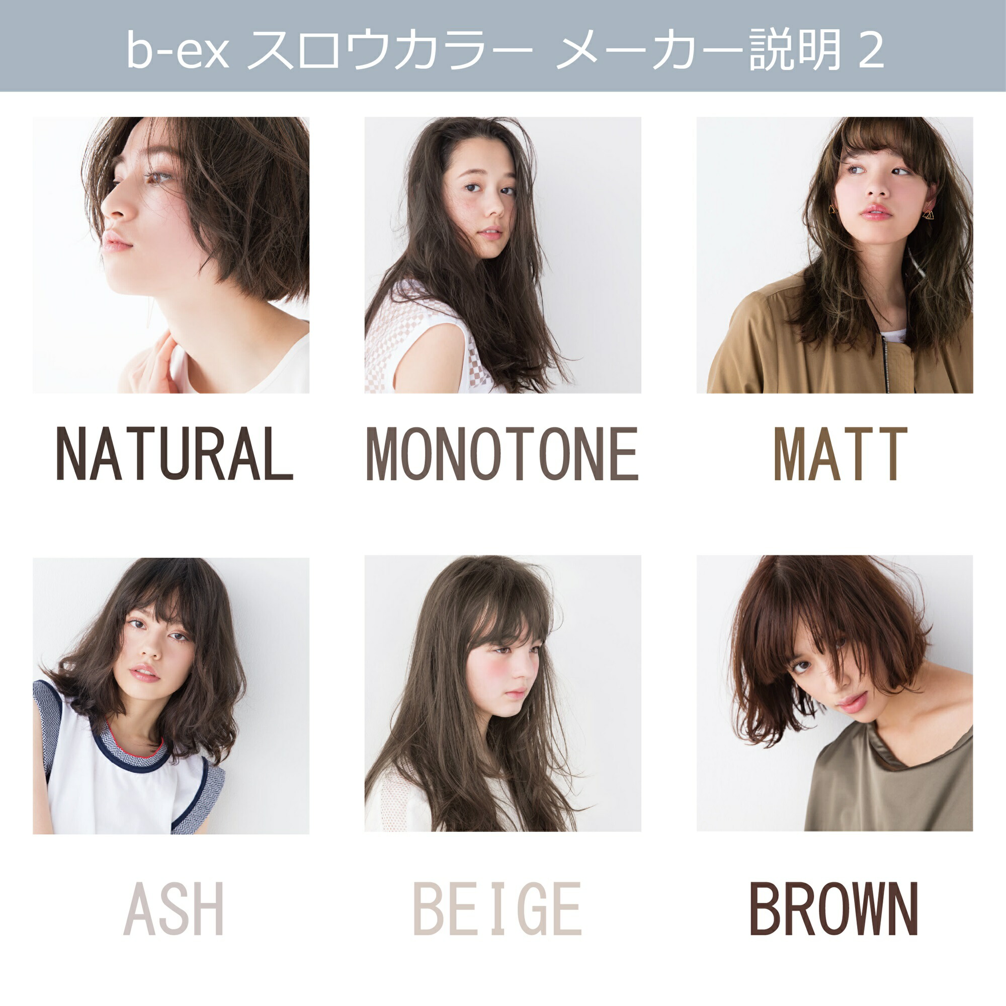 楽天市場】スロウカラー [ ブラウン B/12 ] 100g ブラウン アッシュ