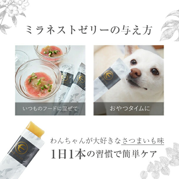 楽天市場】ミラネストゼリースティックFOR DOG さつまいも風味 犬