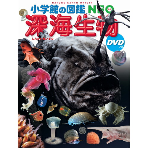 楽天市場】【 小学館の図鑑 NEO 深海生物 DVDつき 】 ずかん NEO