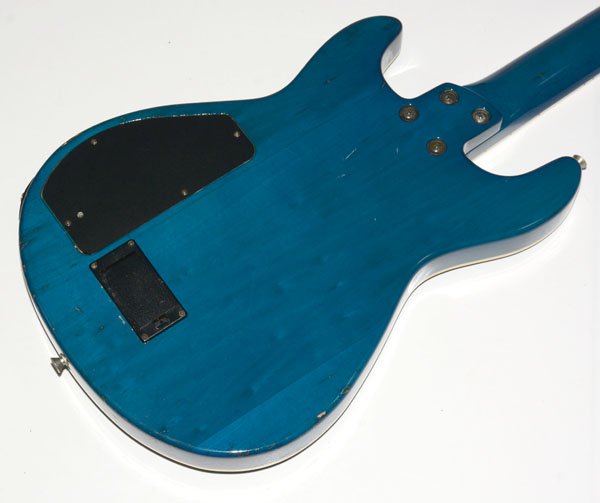 楽天市場】☆ソフトケース付！FERNANDES フェルナンデス APG-55S