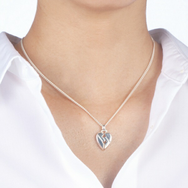 楽天市場】《最大3300円クーポン 3/2 23:59迄》＼今ならシルバー