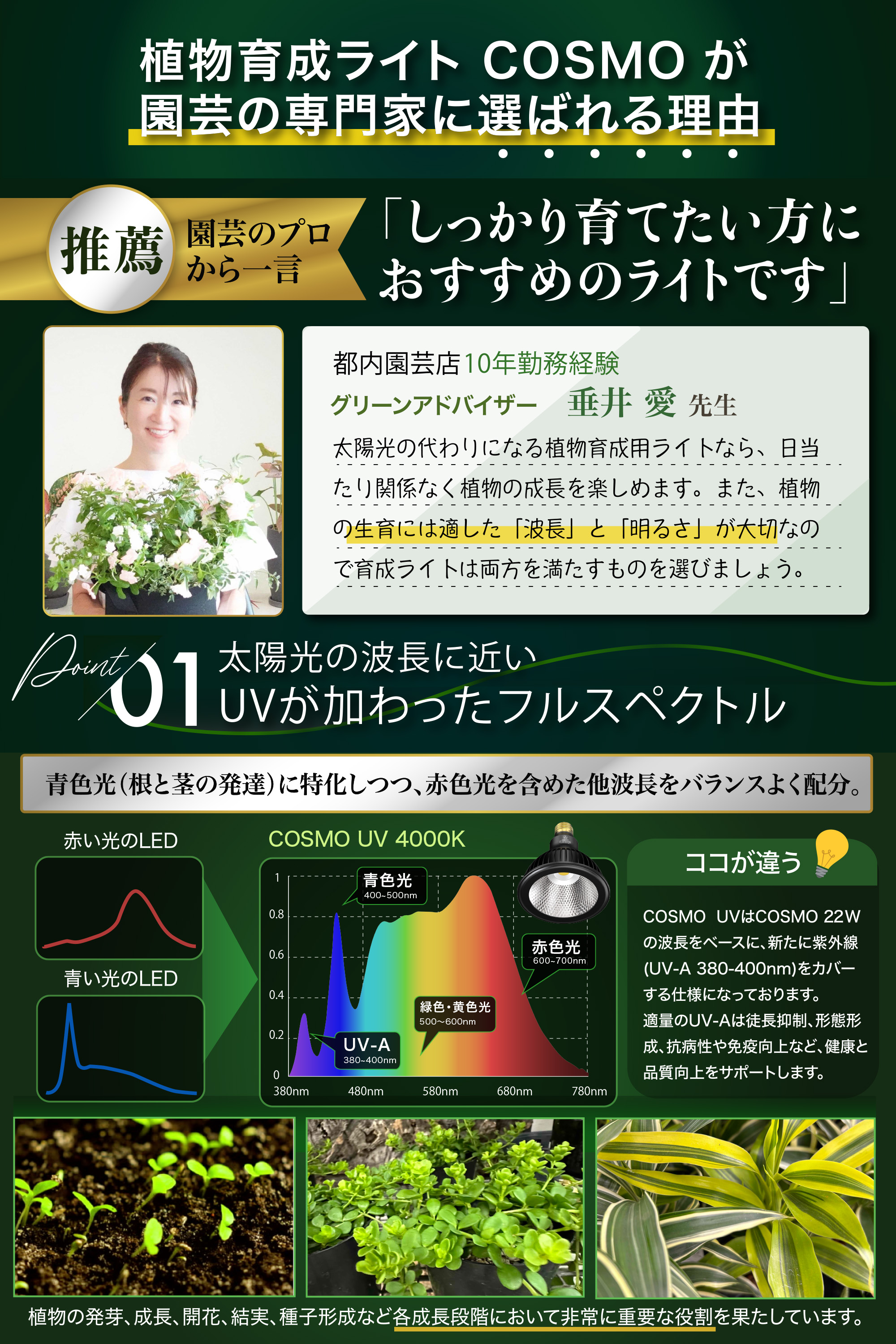 楽天市場】BRIM(ブリム) 公式店 グリーンアドバイザー推薦 BRIM(ブリム