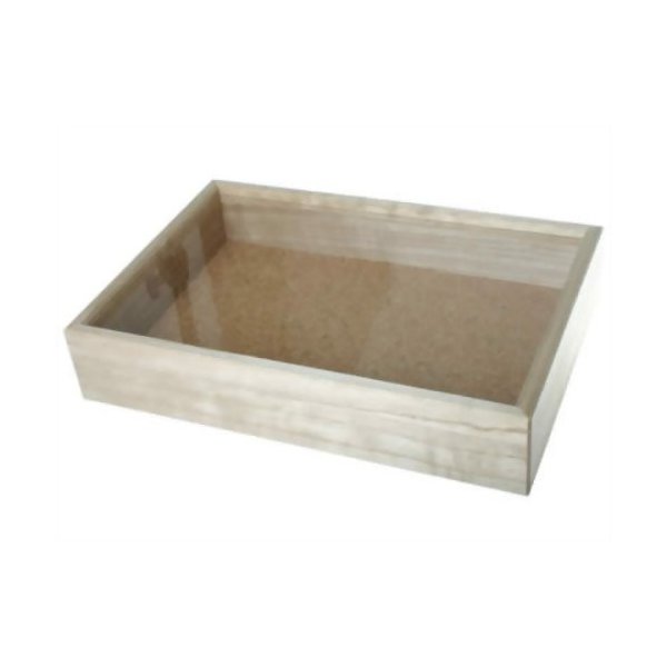 大型標本箱 2箱 6角標本箱 1箱 大型標本箱 2箱 6角標本箱 1箱 楽天市場