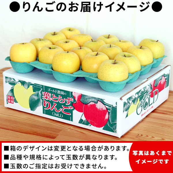 楽天市場】エントリーでポイント5倍 葉っぱの影は甘さのサイン 【葉