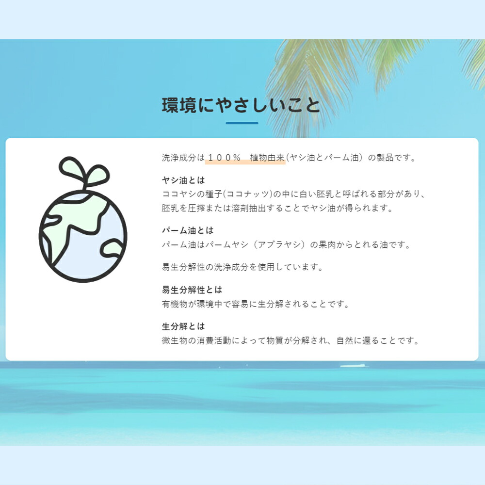 楽天市場】多目的洗剤 ココナツ 4L 肌と自然環境にやさしい洗剤 洗浄