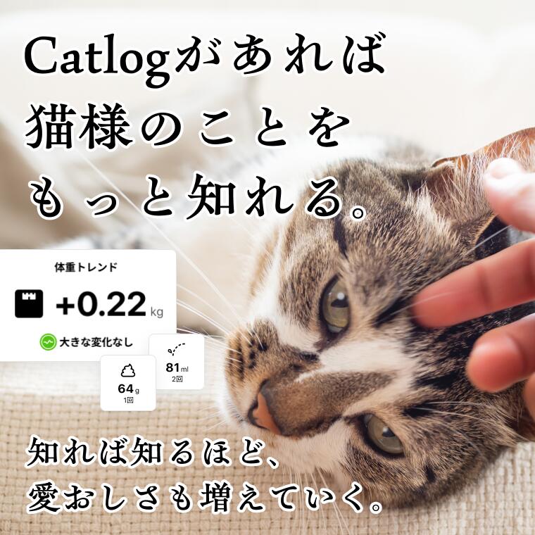 楽天市場】【Catlog公式｜送料無料】Catlog Board 2 今あるトイレや猫