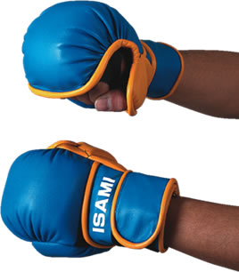 楽天市場】【ISAMI】パウンドグローブ（1組）（黒・青・赤） : 東山堂